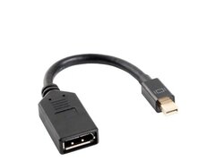 Adaptor Mini DisplayPort - DisplayPort